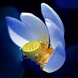 自动化解谜游戏《改善：工厂物语》现已发布！